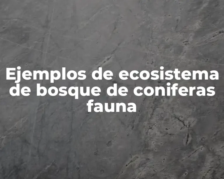 Ejemplos de ecosistema de bosque de coniferas fauna