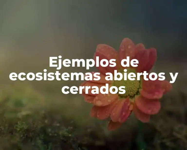 Ejemplos de ecosistemas abiertos y cerrados