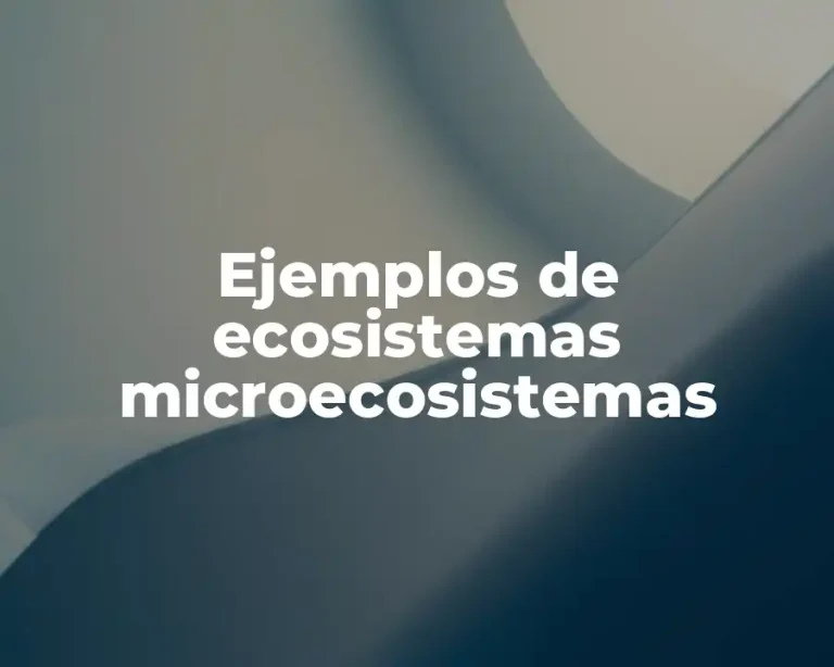 Ejemplos de ecosistemas microecosistemas