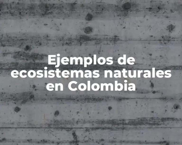 Ejemplos de ecosistemas naturales en Colombia