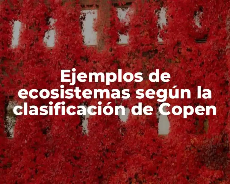 Ejemplos de ecosistemas según la clasificación de Copen