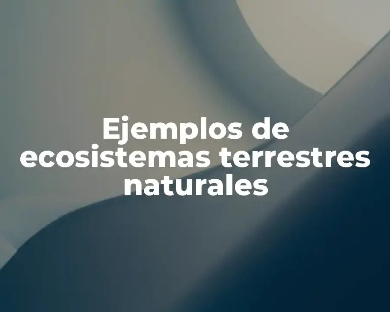 Ejemplos de ecosistemas terrestres naturales