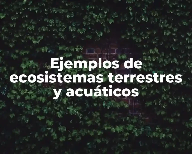 Ejemplos de ecosistemas terrestres y acuáticos
