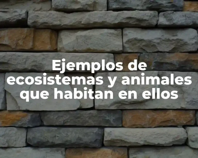 Ejemplos de ecosistemas y animales que habitan en ellos