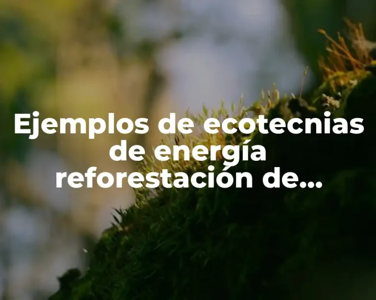 Ejemplos de ecotecnias de energía reforestación de árboles y pinos