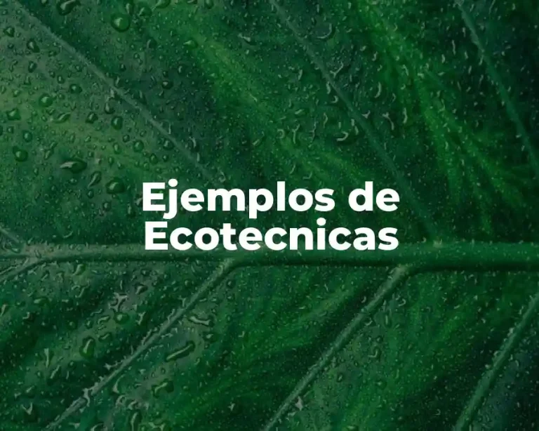 Ejemplos de Ecotecnicas