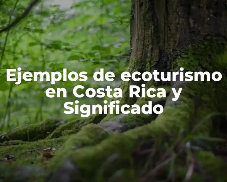 Ejemplos de ecoturismo en Costa Rica y Significado