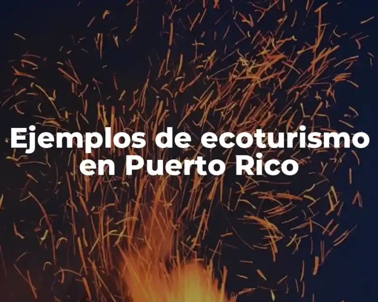 Ejemplos de ecoturismo en Puerto Rico