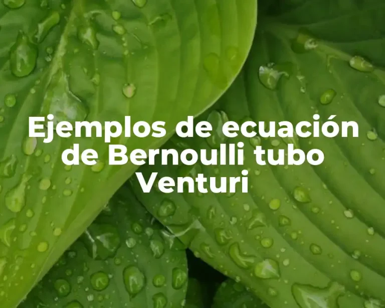 Ejemplos de ecuación de Bernoulli tubo Venturi