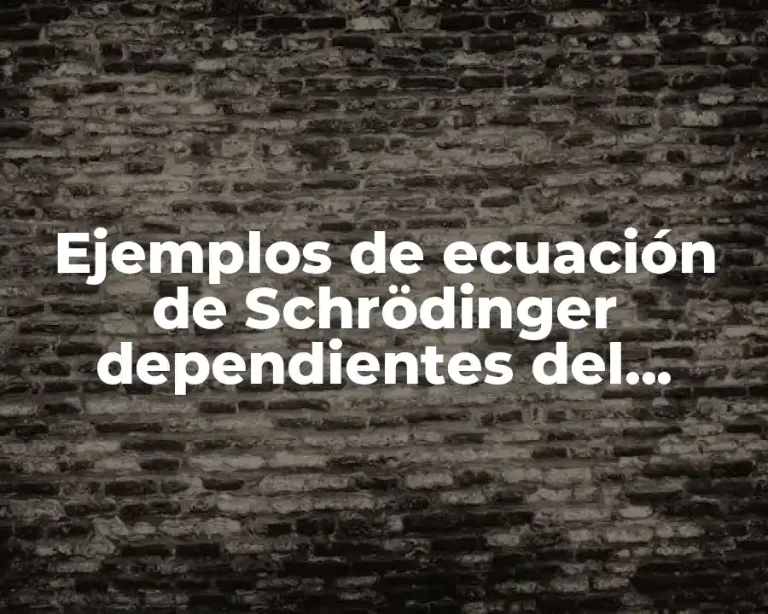 Ejemplos de ecuación de Schrödinger dependientes del tiempo y Significado