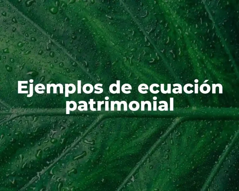 Ejemplos de ecuación patrimonial