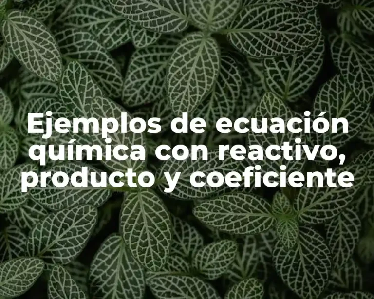 Ejemplos de ecuación química con reactivo, producto y coeficiente