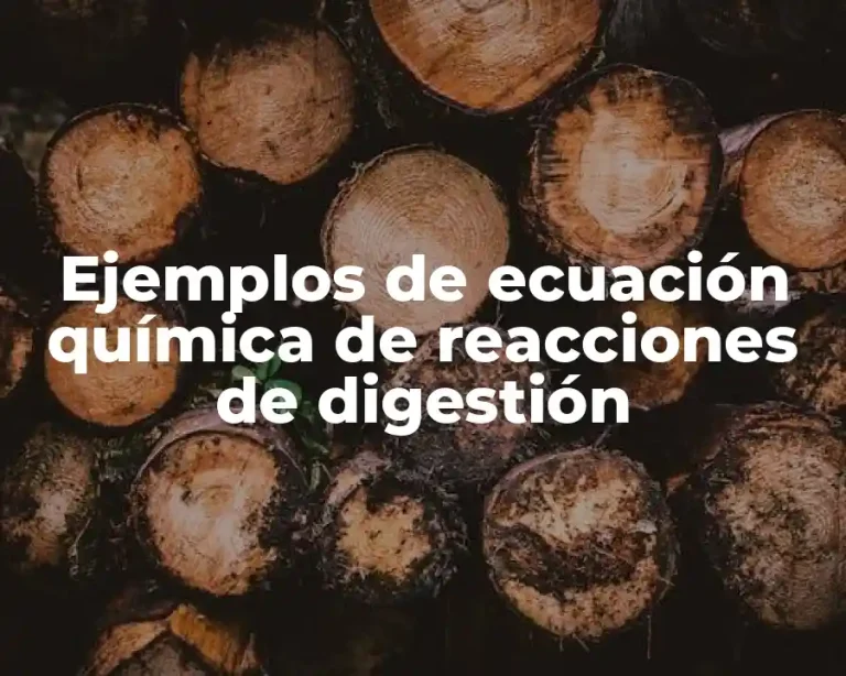 Ejemplos de ecuación química de reacciones de digestión