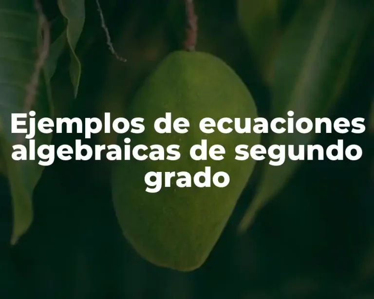 Ejemplos de ecuaciones algebraicas de segundo grado