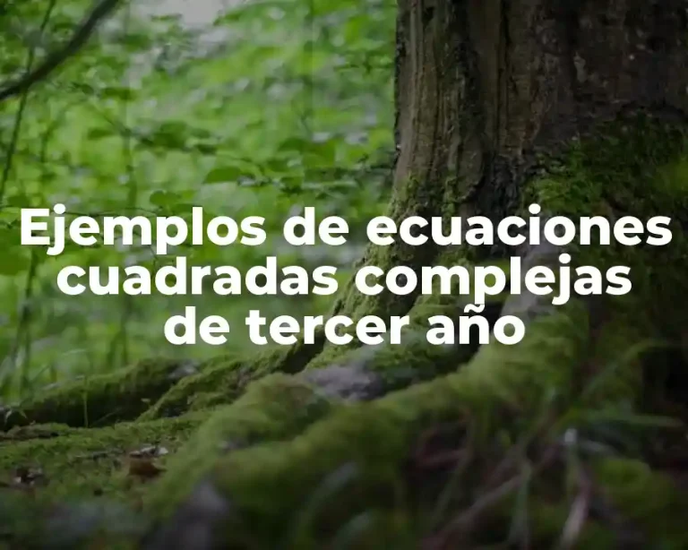 Ejemplos de ecuaciones cuadradas complejas de tercer año