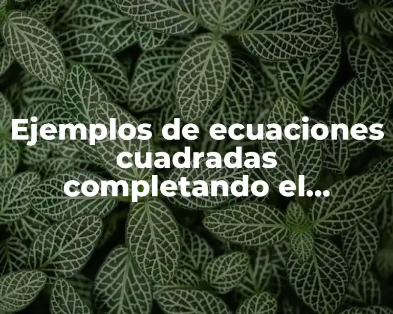 Ejemplos de ecuaciones cuadradas completando el cuadrado resueltos