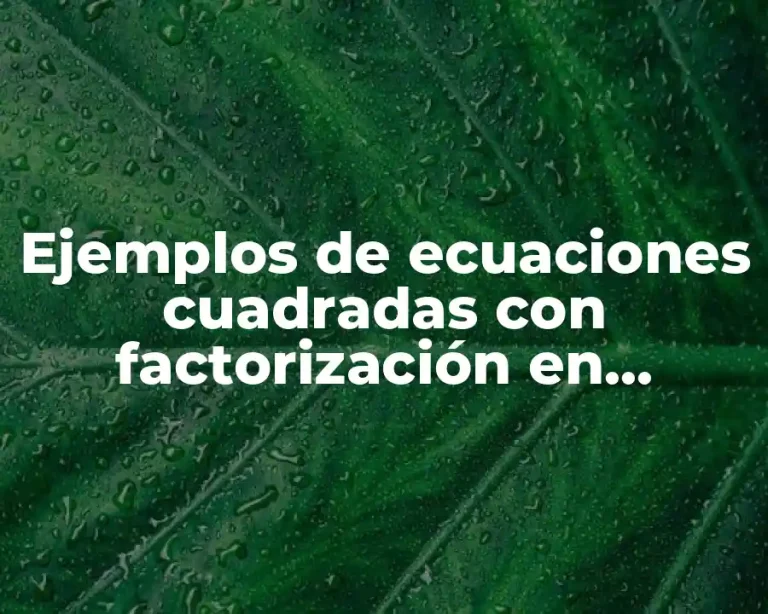Ejemplos de ecuaciones cuadradas con factorización en situaciones cotidianas y Significado