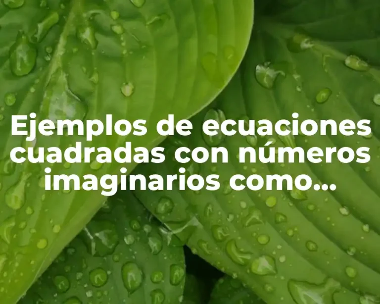 Ejemplos de ecuaciones cuadradas con números imaginarios como coeficientes