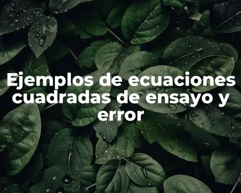 Ejemplos de ecuaciones cuadradas de ensayo y error