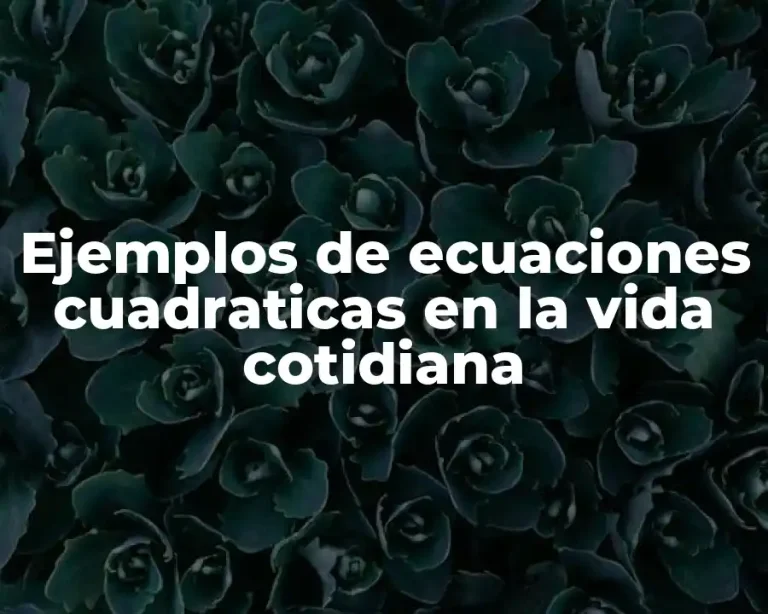 Ejemplos de ecuaciones cuadraticas en la vida cotidiana