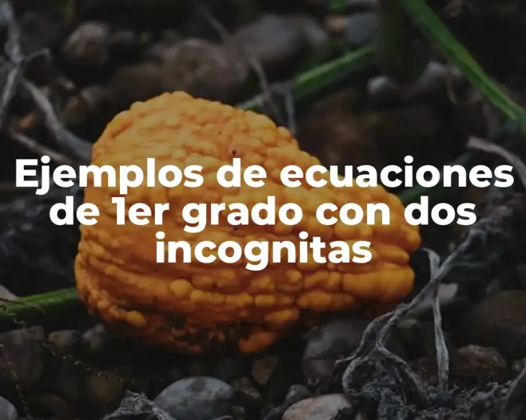 Ejemplos de ecuaciones de 1er grado con dos incognitas
