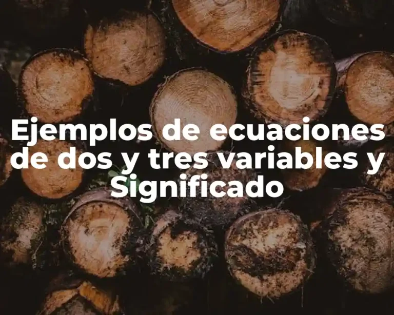 Ejemplos de ecuaciones de dos y tres variables y Significado