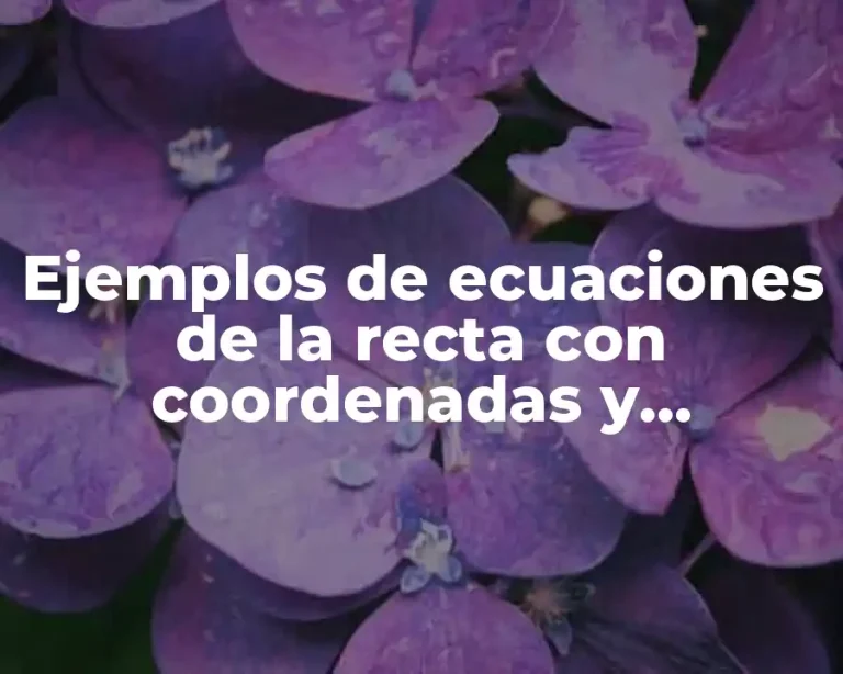 Ejemplos de ecuaciones de la recta con coordenadas y Significado