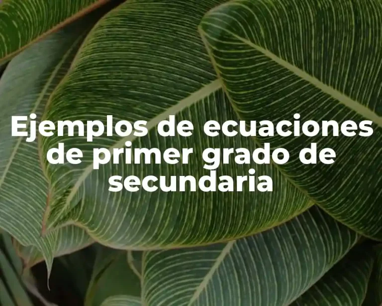 Ejemplos de ecuaciones de primer grado de secundaria