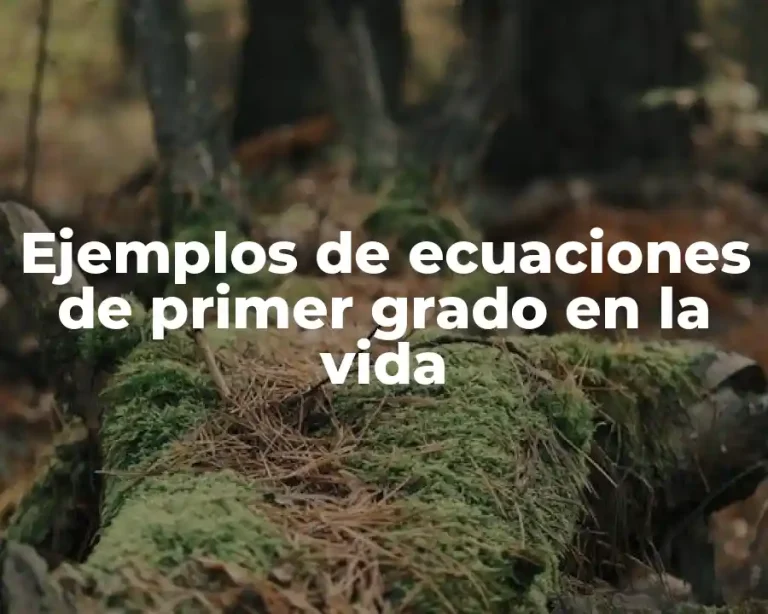 Ejemplos de ecuaciones de primer grado en la vida