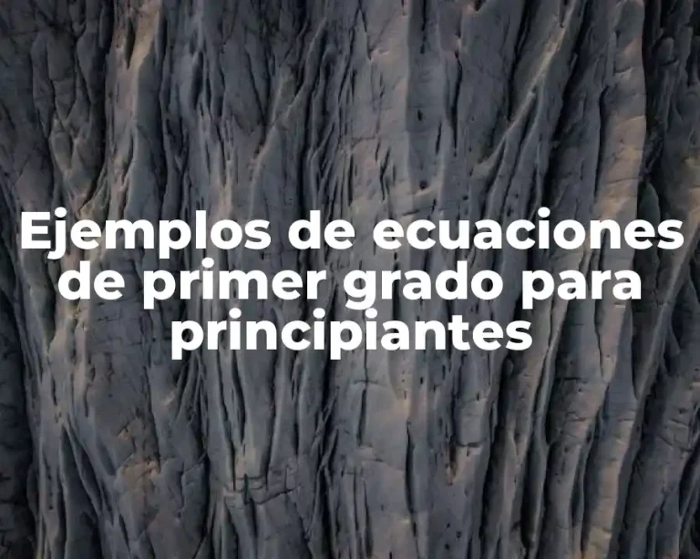 Ejemplos de ecuaciones de primer grado para principiantes