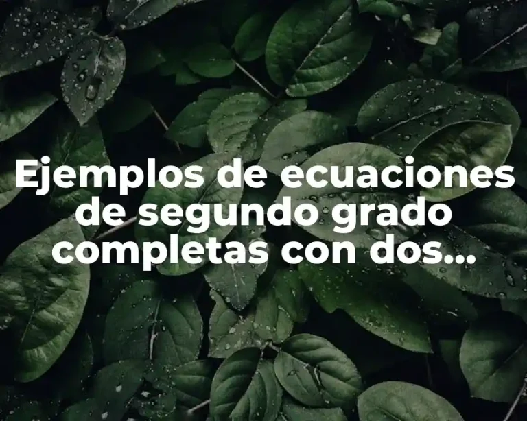 Ejemplos de ecuaciones de segundo grado completas con dos soluciones y Significado