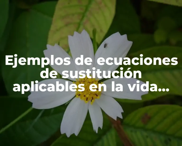 Ejemplos de ecuaciones de sustitución aplicables en la vida cotidiana
