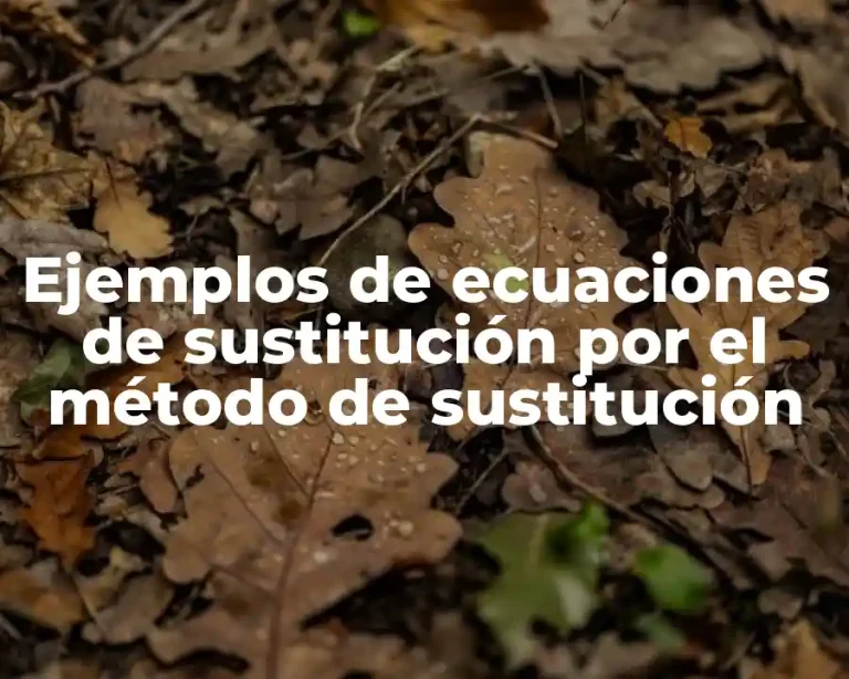 Ejemplos de ecuaciones de sustitución por el método de sustitución