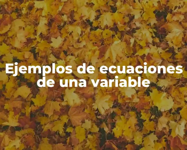 Ejemplos de ecuaciones de una variable