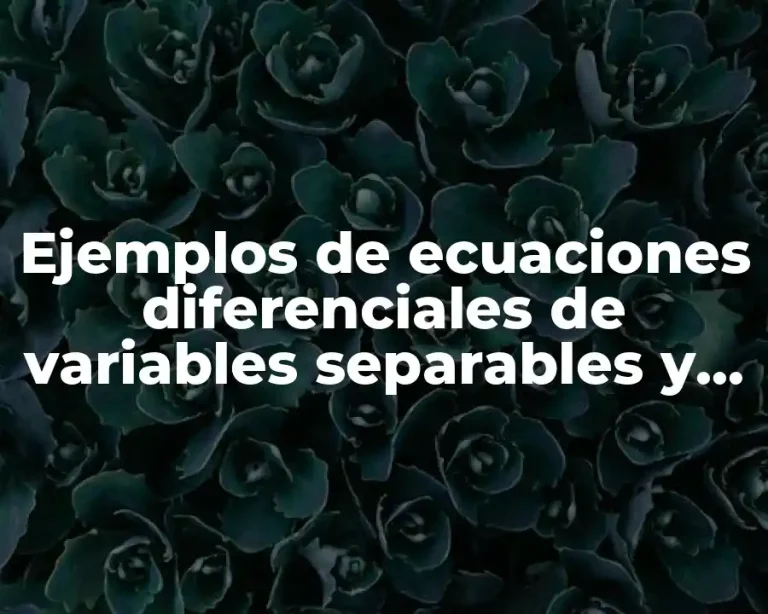 Ejemplos de ecuaciones diferenciales de variables separables y Significado