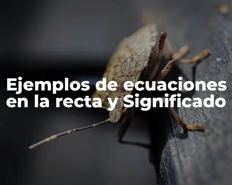 Ejemplos de ecuaciones en la recta y Significado