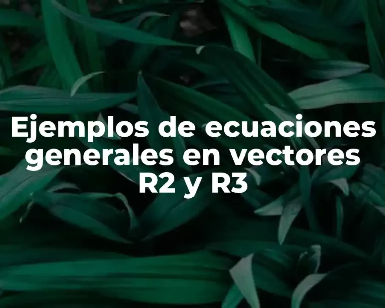 Ejemplos de ecuaciones generales en vectores R2 y R3