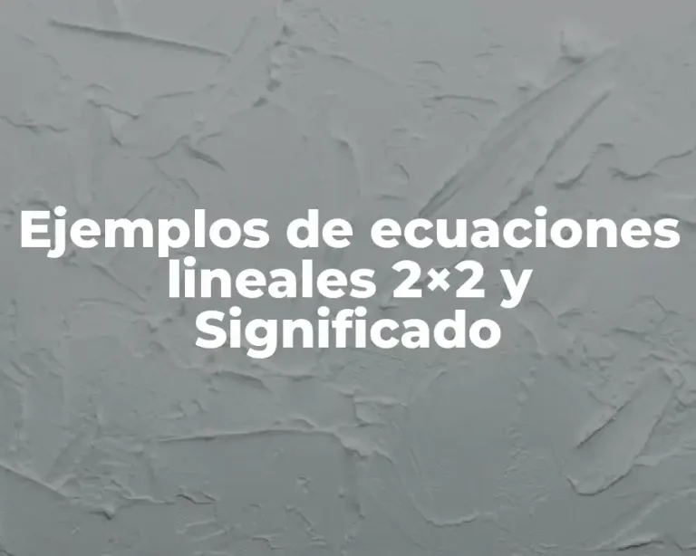 Ejemplos de ecuaciones lineales 2×2 y Significado
