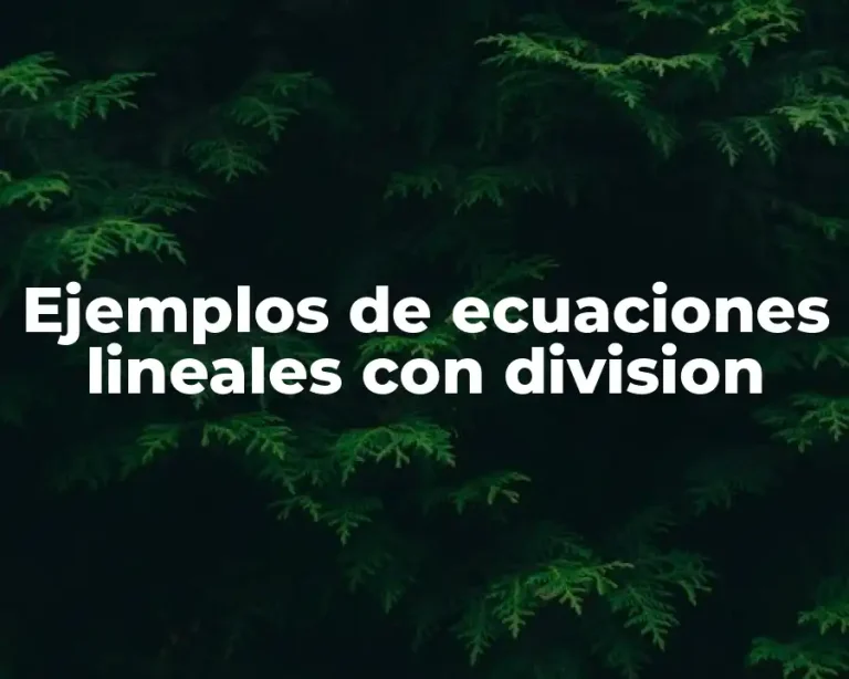 Ejemplos de ecuaciones lineales con division