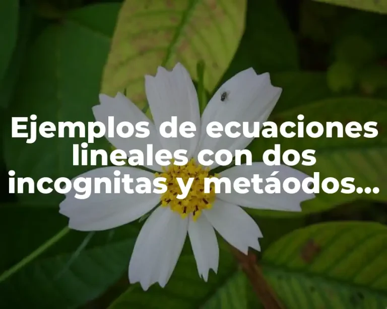 Ejemplos de ecuaciones lineales con dos incognitas y metáodos de