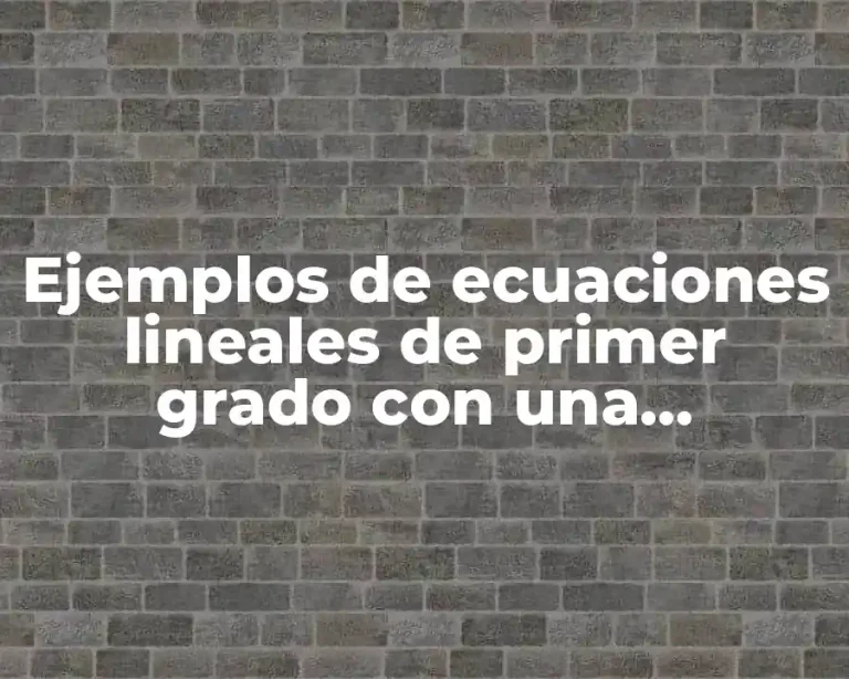 Ejemplos de ecuaciones lineales de primer grado con una incognita y Significado