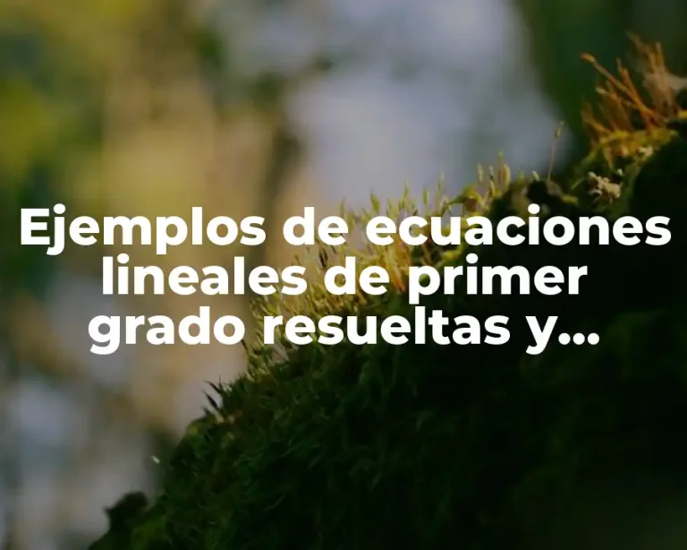 Ejemplos de ecuaciones lineales de primer grado resueltas y Significado