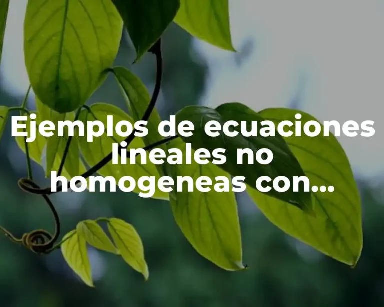 Ejemplos de ecuaciones lineales no homogeneas con coeficientes constantes