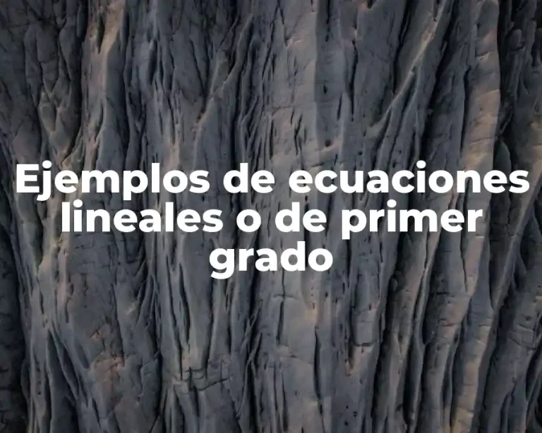Ejemplos de ecuaciones lineales o de primer grado