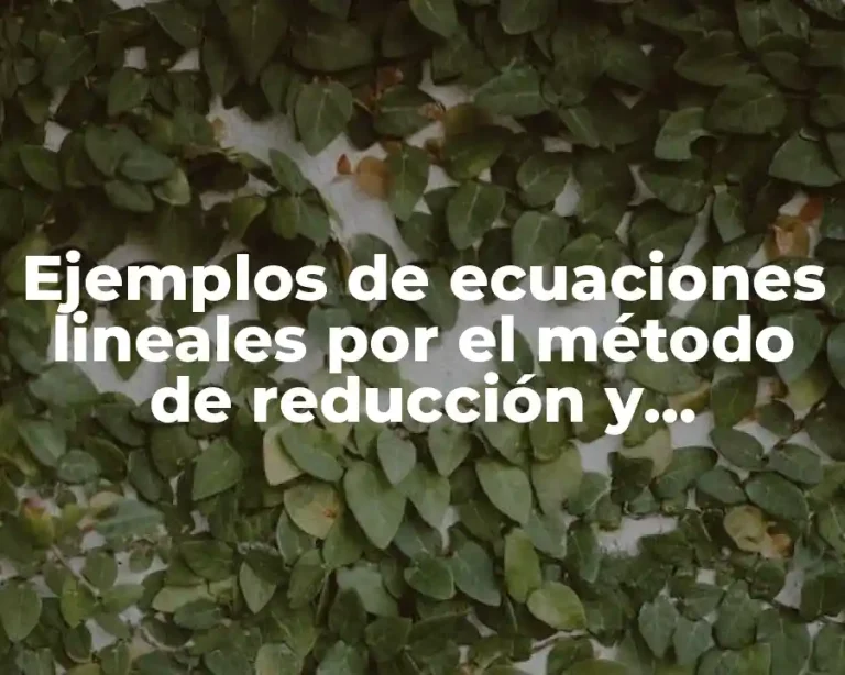Ejemplos de ecuaciones lineales por el método de reducción y Significado