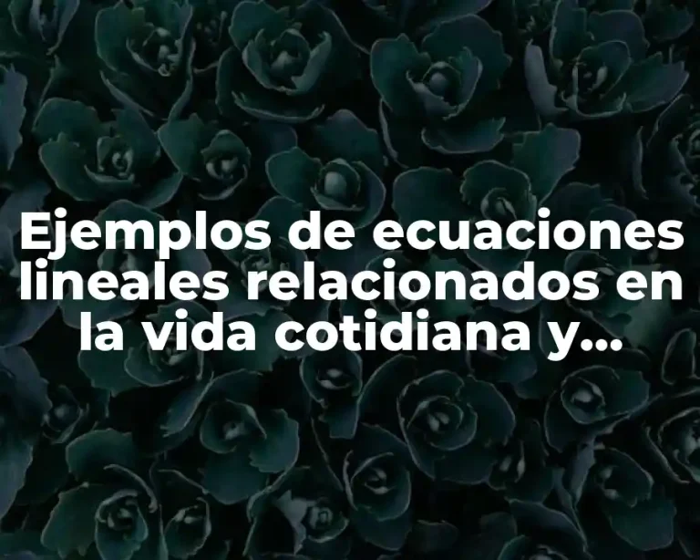Ejemplos de ecuaciones lineales relacionados en la vida cotidiana y Significado