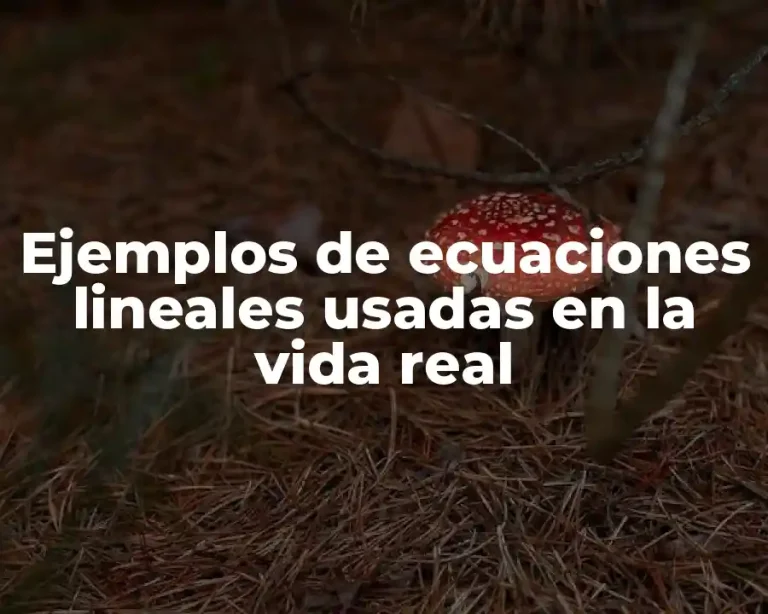 Ejemplos de ecuaciones lineales usadas en la vida real