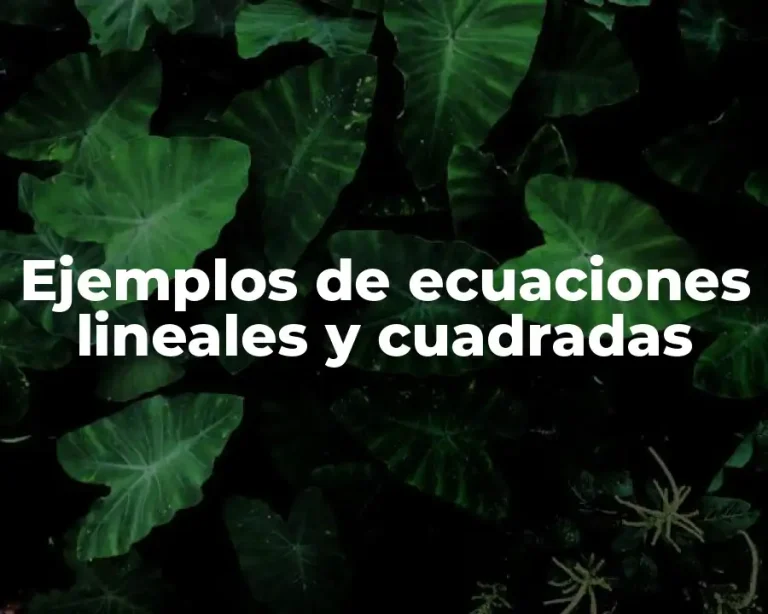 Ejemplos de ecuaciones lineales y cuadradas