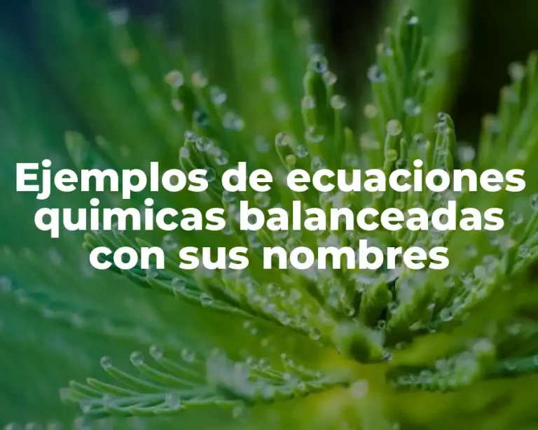 Ejemplos de ecuaciones quimicas balanceadas con sus nombres