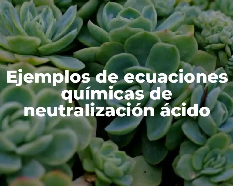 Ejemplos de ecuaciones químicas de neutralización ácido